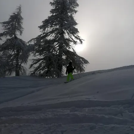 Wieki Апартаменты *