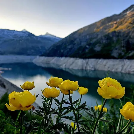 Wieki Апартаменты