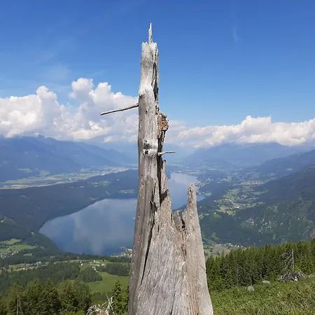 Wieki Апартаменты *