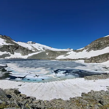 Wieki Апартаменты *