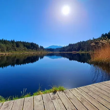 Апартаменты Wieki *