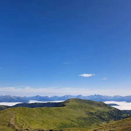 Апартаменты Wieki *