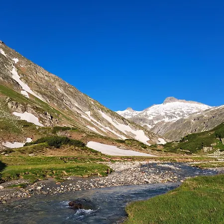 Wieki Апартаменты