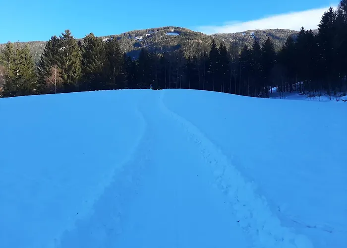 아파트 Wieki 그문드