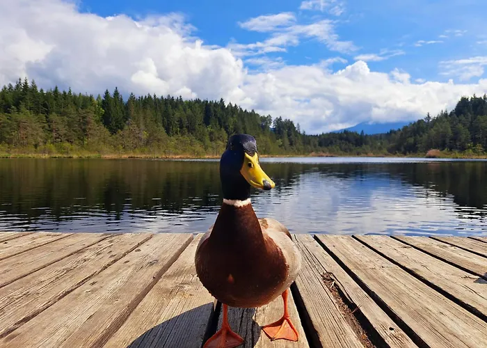 아파트 Wieki 그문드